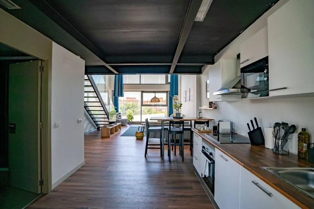 Apartment Penthouse Duplex With Indoor Swimming Pool And Spa Alcobendas